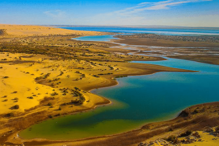 Fayoum Oasis Adventure: A Journey Through Nature & History