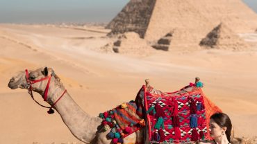 Amazing Giza to Saqqara Camel Safari: 1 Timeless Desert Journey