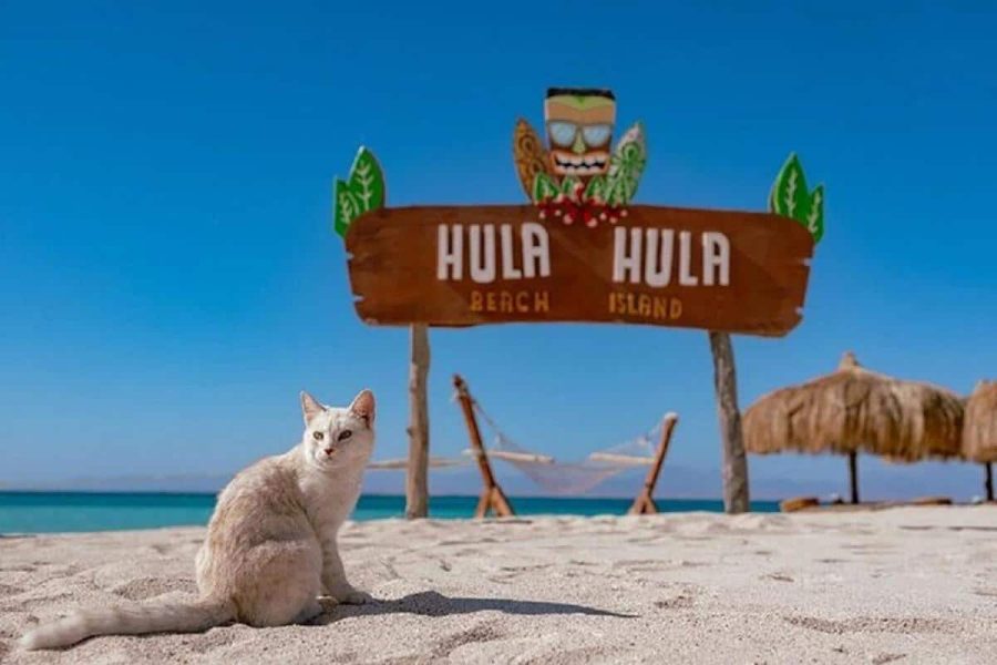 Hula Hula Trip – A unique day of fun in the heart of Hurghada