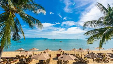 Discover the Best Tours Tour with ZOSER TRAVEL