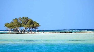 ägypten marsa alam: 7 unvergessliche Erlebnisse entdecken