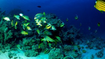 hurghada urlaub: 7 Gründe für einen unvergesslichen Trip