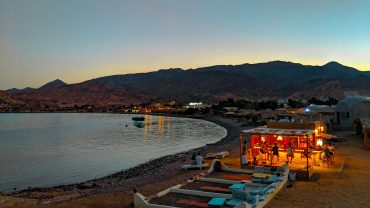 A Travel Agency: 5 Best Trips to Explore Egypt