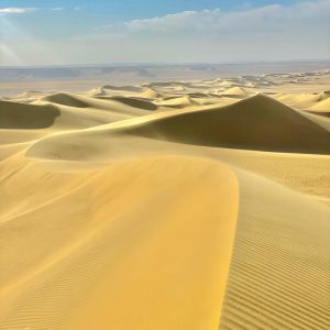 Egypt Desert Safari: 7 Thrilling Reasons to Chase the Magic of the Dunes